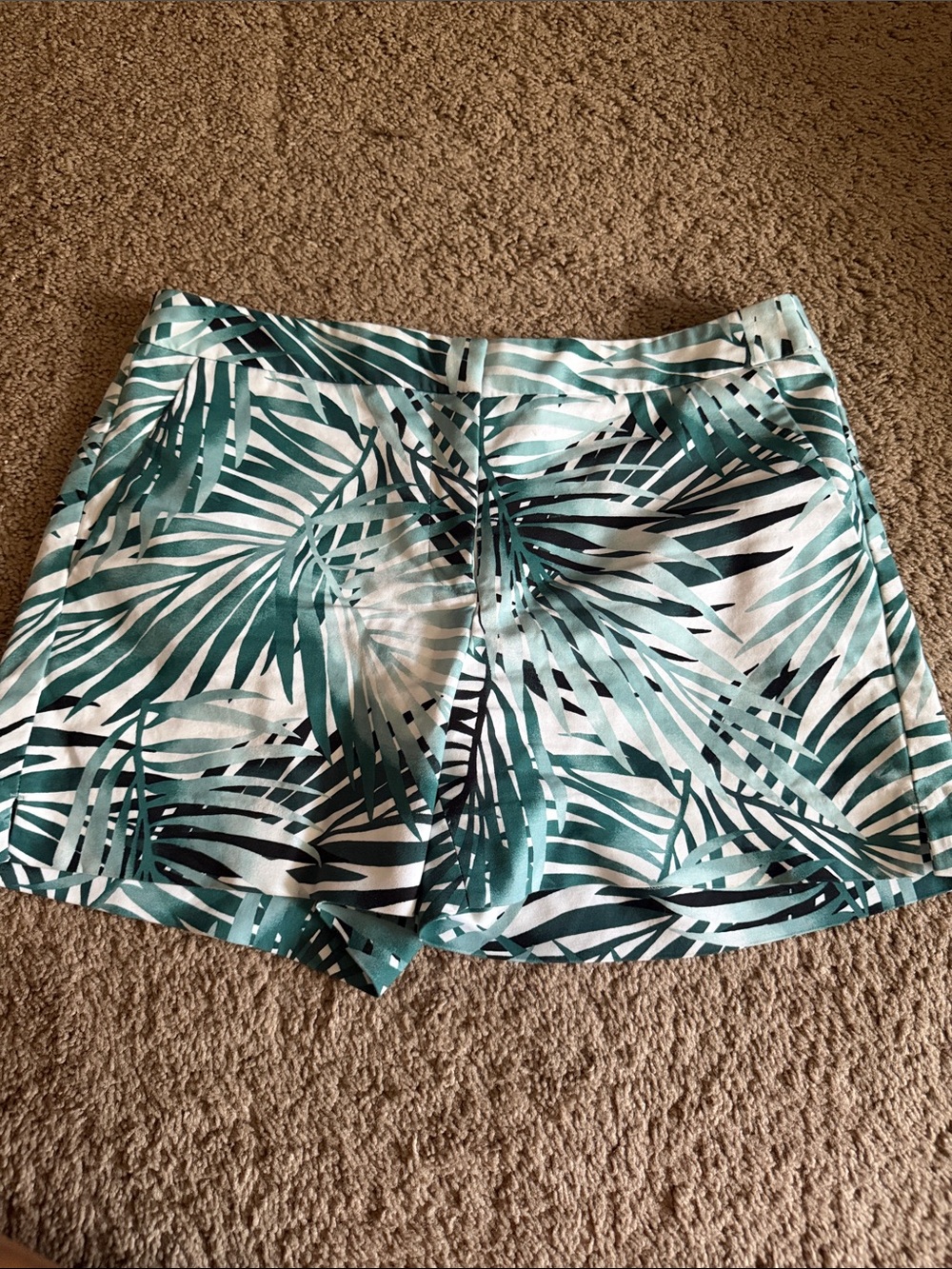 White House black market size 8 ladies shorts